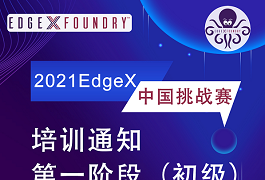 2021 EdgeX 中国挑战赛培训通知