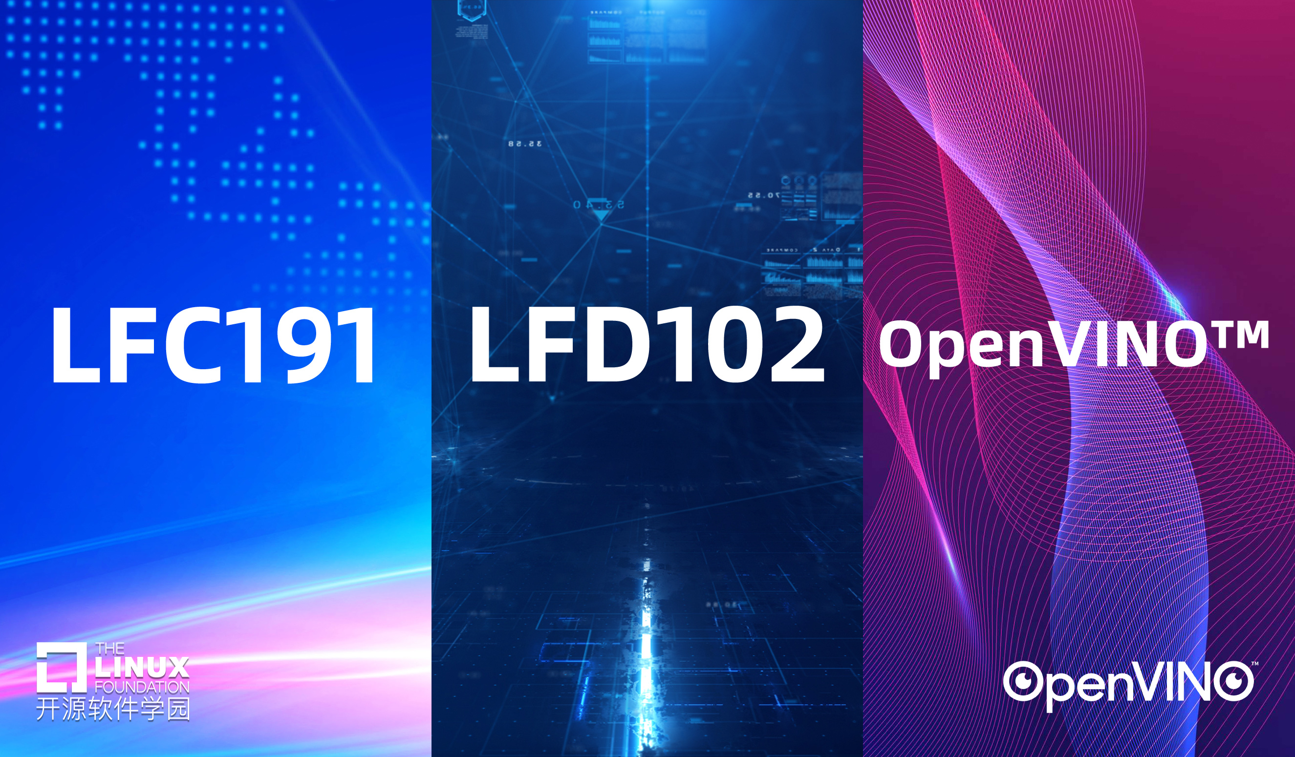 LFD102&LFC191&OpenVINO™