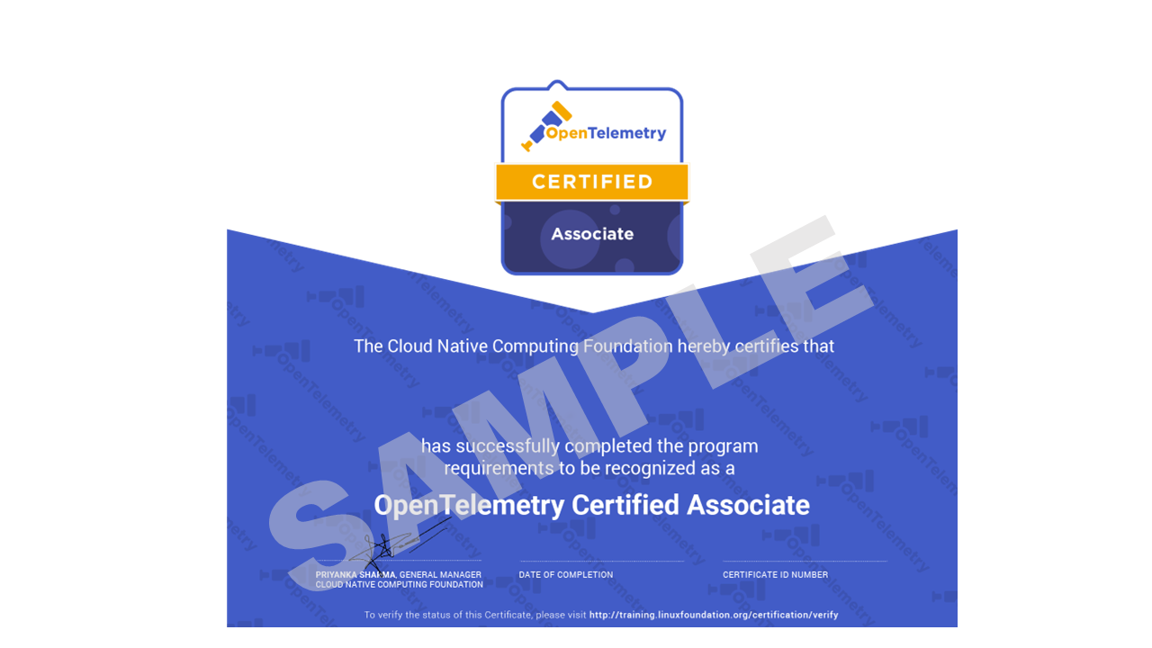 OTCA考试适合你吗？给新手与高级用户的洞见