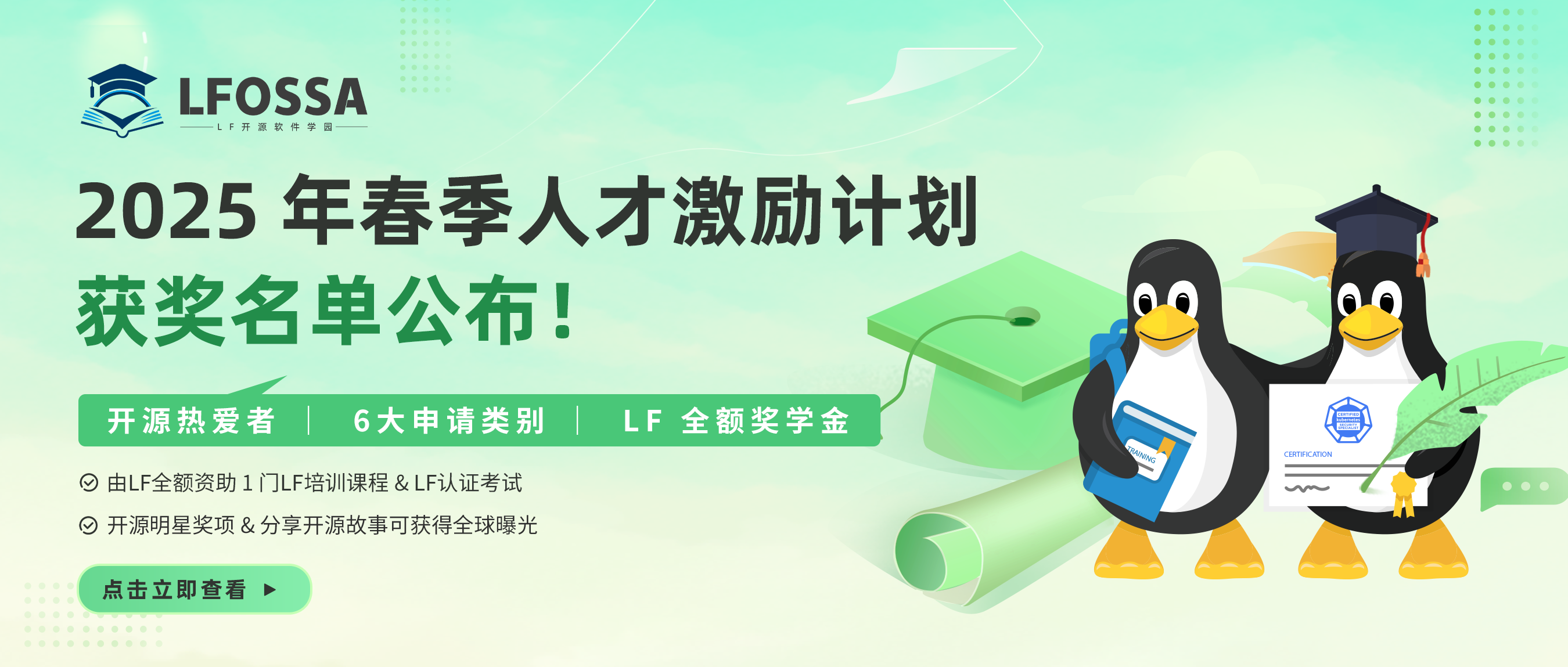 【官宣】LFOSSA人才激励计划-2025 年春季获奖名单出炉！