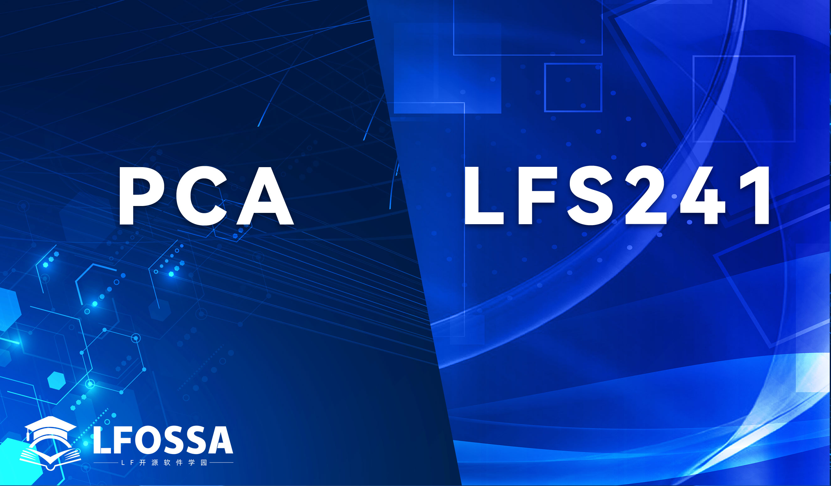 PCA & LFS241套购