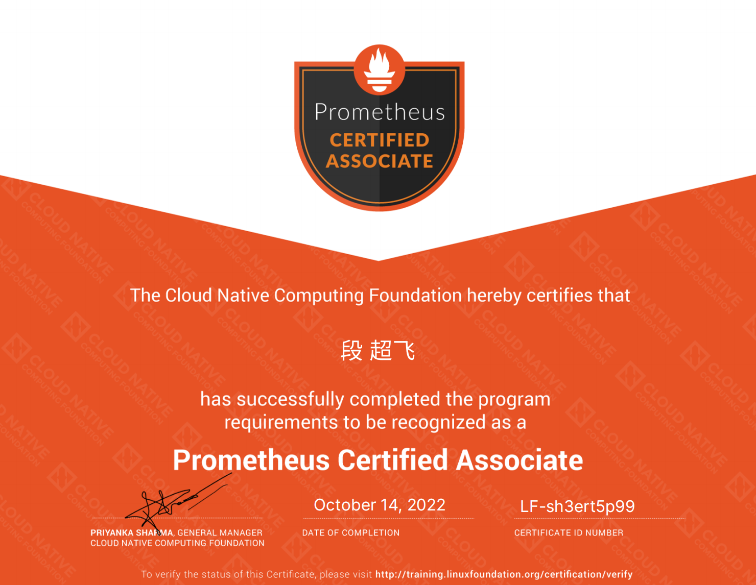 迈向云原生监控与可观察性新时代：Prometheus 3.0 重磅发布，PCA 认证新年优惠助力同行！