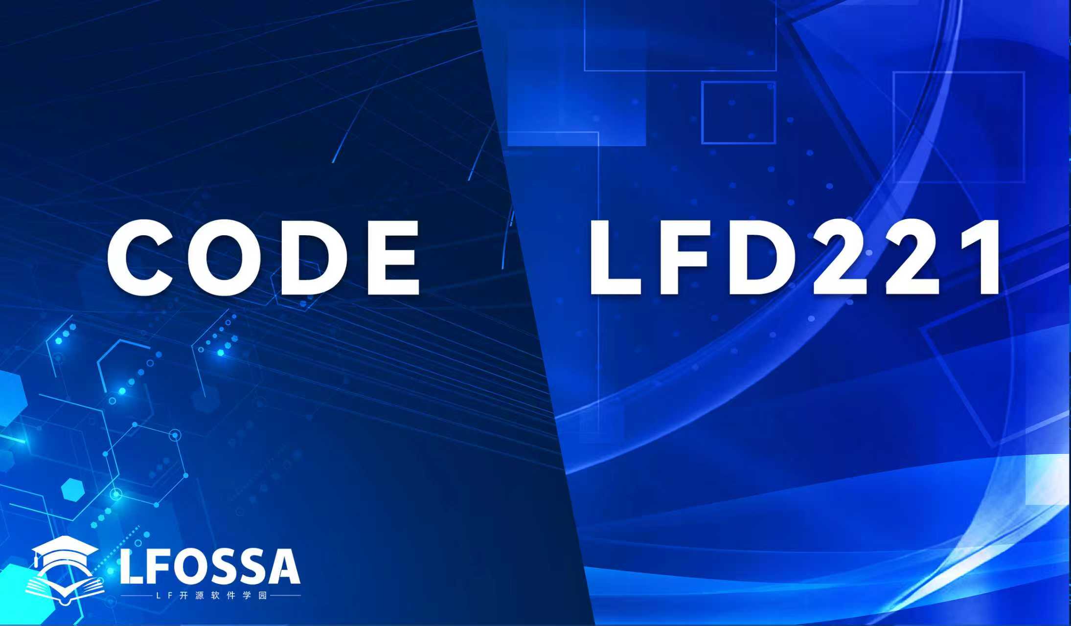 CODE & LFD221套购